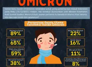 Infografis: Gejala Omicron