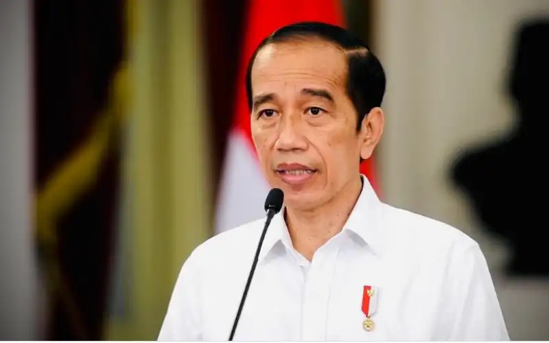 Jokowi Resmi Larang Ekspor CPO dan Minyak Goreng
