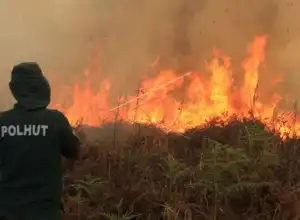 Kerugian Aceh Akibat Bencana Capai Rp223 miliar