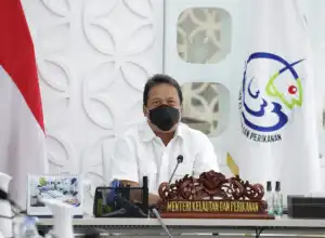 KKP Bakal Renovasi Pelabuhan Perikanan di Indonesia