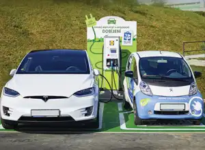 Peta Jalan Indonesia Menuju Net Zero Emission 2060