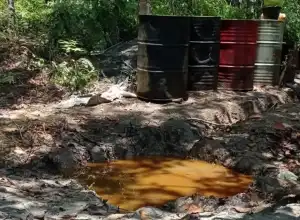 Pengeboran Minyak Ilegal di Aceh Tamiang Marak Terjadi
