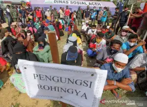 81 Imigran Rohingya Terdampar di Aceh Timur