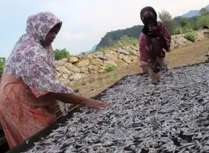 Hari Perempuan Internasional (4): Ruang Gerak yang Terlalu Sempit