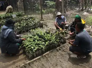 Ilmuan Ada yang Percaya Tanaman Bisa 'Bicara'