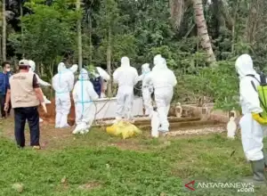 Positif COVID-19, Keuchik di Aceh Barat Dikebumikan Sesuai Prokes