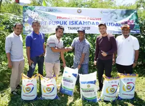 PT PIM Perkenalkan Pupuk Harga Ekonomis untuk Petani Kopi