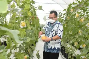 IPB Dorong Mahasiswa Jadi Petani Milenial