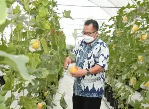 IPB Dorong Mahasiswa Jadi Petani Milenial