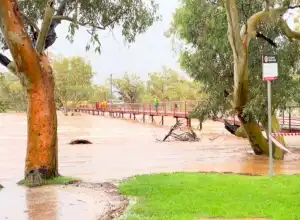 Banjir di Australia, Seorang Pria Bergantung 6 Jam di Pohon
