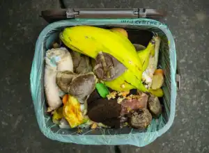 MUI Minta Warga Mengurangi Sampah Demi Jaga Lingkungan
