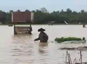 Dinas Pertanian Catat 6.265 Hektare Sawah Rusak Dampak Banjir