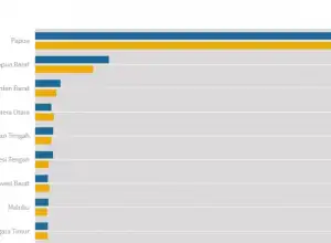 Statistik: Papua Tertinggi Tidak Ada Sinyal di Indonesia