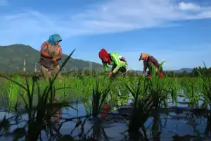 Petani Milenial Diminta Manfaatkan Teknologi