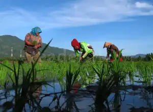 Petani Milenial Diminta Manfaatkan Teknologi