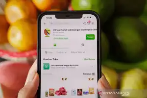 Pandemi, Langkah Inovasi Digitalisasi adalah Kewajiban Bagi UMKM