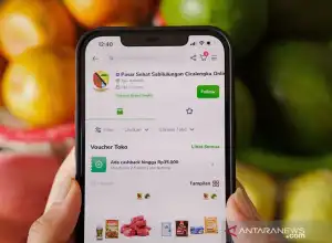 Pandemi, Langkah Inovasi Digitalisasi adalah Kewajiban Bagi UMKM