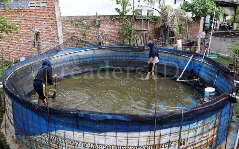 Foto Feature: Budidaya Udang Dengan Sistim Biofloc