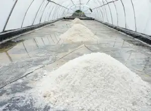 Produksi Garam Aceh Dipersiapkan Sasar Sektor Industri