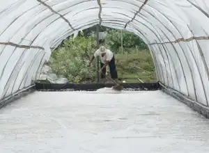 Asinnya Nasib Petani Garam Diterpa Pandemi