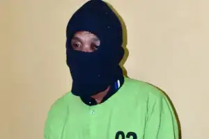 Pelaku Pembunuhan Ibu dan Anak di Aceh Timur Ditangkap