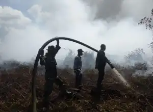 Sepanjang Februari, 107 Hektare Lahan di Aceh Terbakar