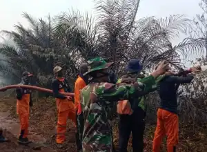 20 Hektare Lahan di Nagan Raya Ludes Terbakar