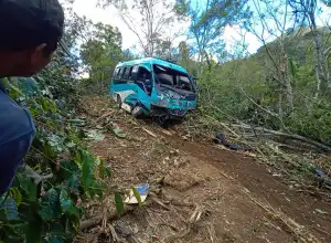 Bus Wisatawan Jatuh ke Jurang di Pantan Terong, Dua Meninggal