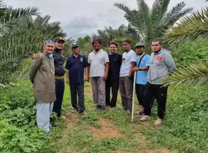 Pengurus Dayah IQ Belajar Pengelolaan Wakaf ke Kebun Kurma Barbatee