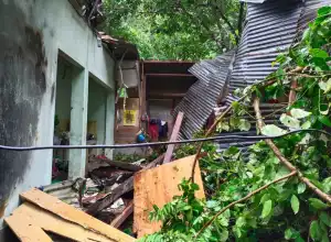 1 Unit Rumah Warga di Aceh Jaya Rusak Akibat Angin Kencang