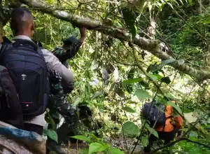 Lima Warga Aceh Tengah Tersesat di Hutan Selama 13 Hari