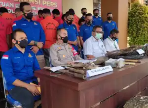 11 Warga Jadi Tersangka Kasus Kematian 5 Gajah di Aceh Jaya