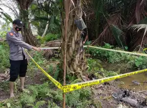 Warga Aceh Utara Ditemukan Tewas di Kebun Sawit, Tubuhnya Hangus Terbakar