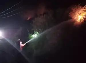 Karhutla Terjadi di Aceh Tengah, Tujuh Hektar Lahan Terbakar