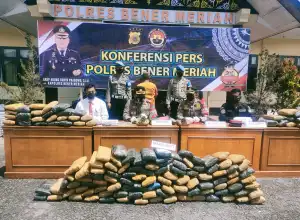 Polres Bener Meriah Gagalkan Penyelundupan 147 Bal Ganja ke Medan
