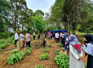 Bappenas dan Kemenkop Kunjungi Desa Wisata Inovasi Nilam di Aceh