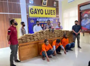 Polres Gayo Lues Tangkap Tiga Warga Beserta 158 Kg Ganja