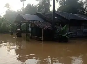 Banjir Mulai Surut di Aceh Utara, Warga Mulai Kembali ke Rumah