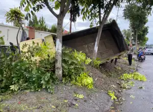 Tabrak Pohon, Warga Bener Meriah Meninggal Dunia
