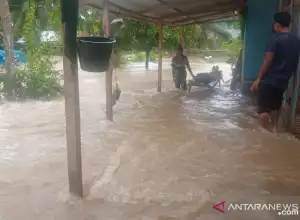 Banjir Landa Enam Gampong di Aceh Timur