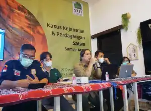 Selama 2021, BBTNGL Catat 136 Kasus Konflik Satwa Liar dan Manusia