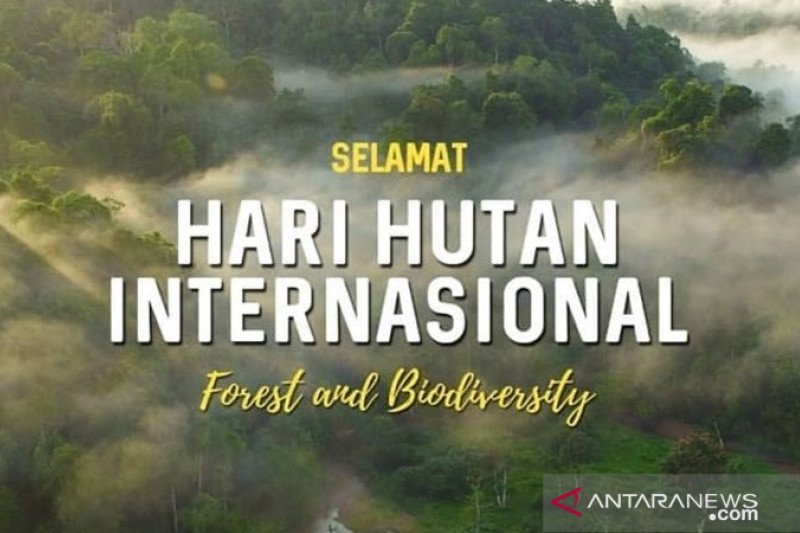 Hari Hutan, pakar dorong pemakaian produk hutan bersertifikat