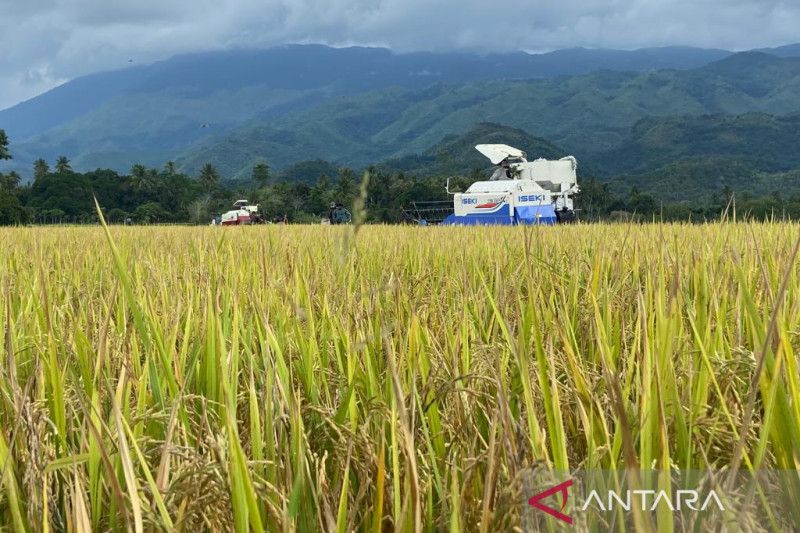 Menggalakkan akses KUR di kalangan petani Aceh