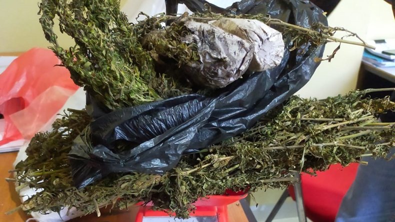 Bawa Ganja, Petani di Pijay Diciduk Polisi