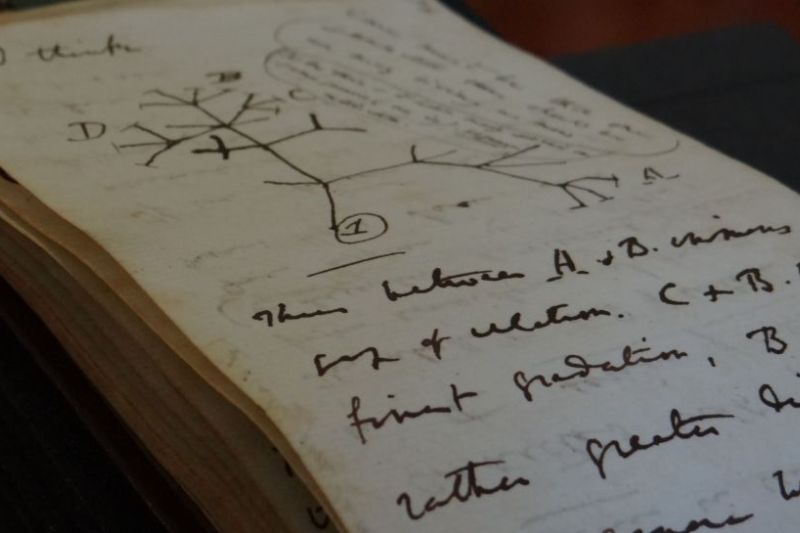 Setelah 20 Tahun Dicuri, Buku Catatan Ikonis Charles Darwin Akhirnya Ditemukan