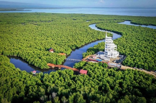 Kemenparekraf Resmikan Tower Mangrove Forest Langsa