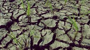 BMKG : Sejumlah Wilayah di Aceh Waspada Kekering