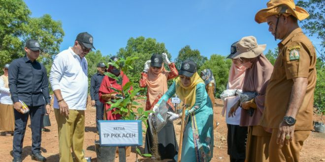 Ketua PKK Aceh Bersama DLHK Tanam 250 Batang Pohon