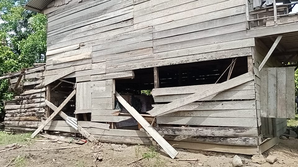 8 Hektar dan 4 Unit Gubuk Warga Rusak Berat Diobrak-abrik Gajah