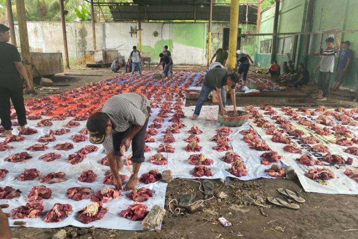 Lueng Bata Sembelih 31 Ekor Ternak